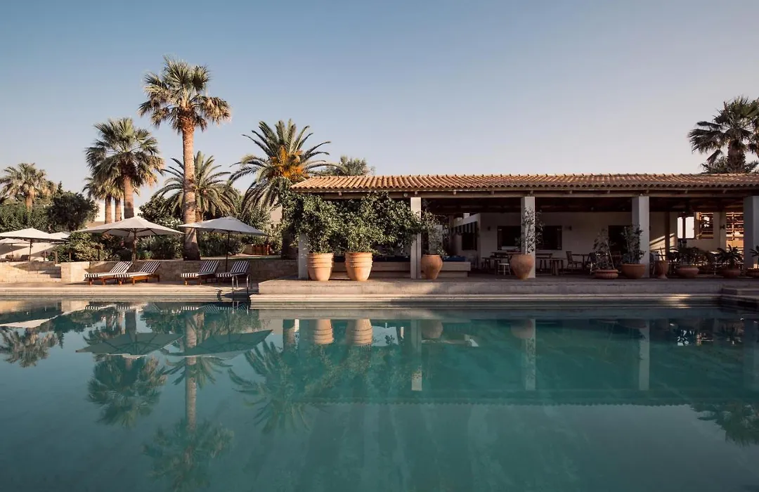 Phaea Cretan Malia, A Member Of Design Hotels-1